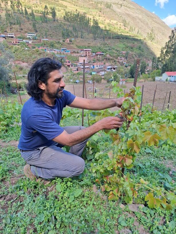 Gustavo giving his advice on pruning and pests