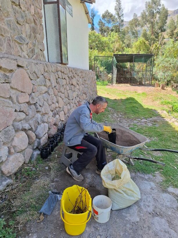 Gary is bagging up the first Isabela rootstocks