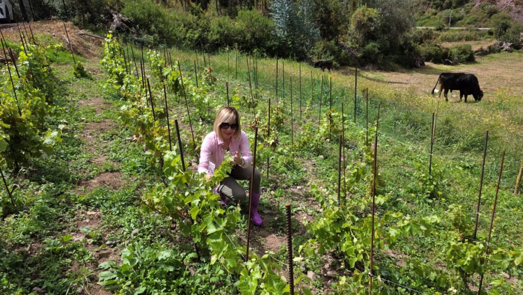 Malka checking the growth of our Syrah